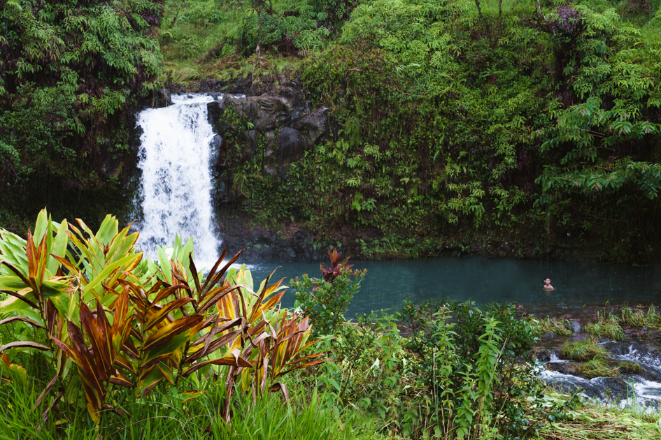 A scenic Hawaiian waterfall surrounded by lush greenery, with vibrant tropical flowers in the foreground and a clear pool below used as a local swimming hole.