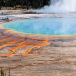 Exploring Yellowstone National Park: A Guide to Its Thermal Wonders and Must-See Regions