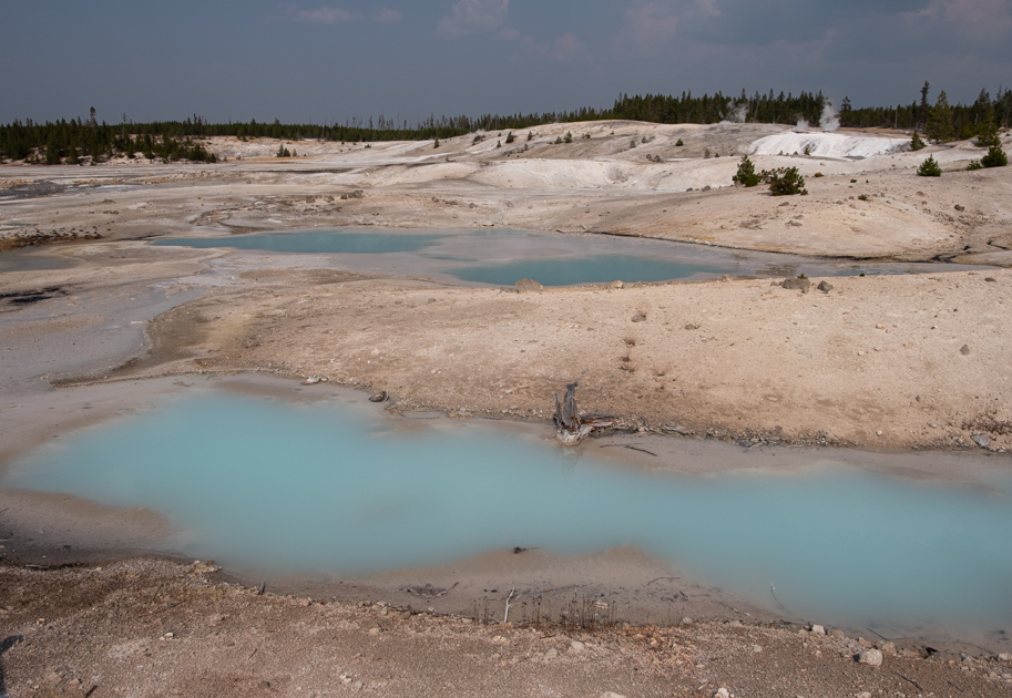Steam rising from geothermal features in Norris Geyser Basin, Yellowstone National Park, surrounded by barren earth and forested hills.