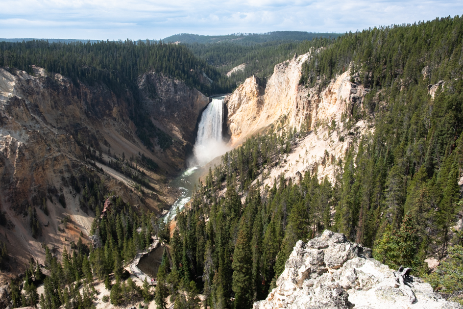 View of the Grand Canyon of the Yellowstone River with colorful rock walls and waterfall in Yellowstone National Park.