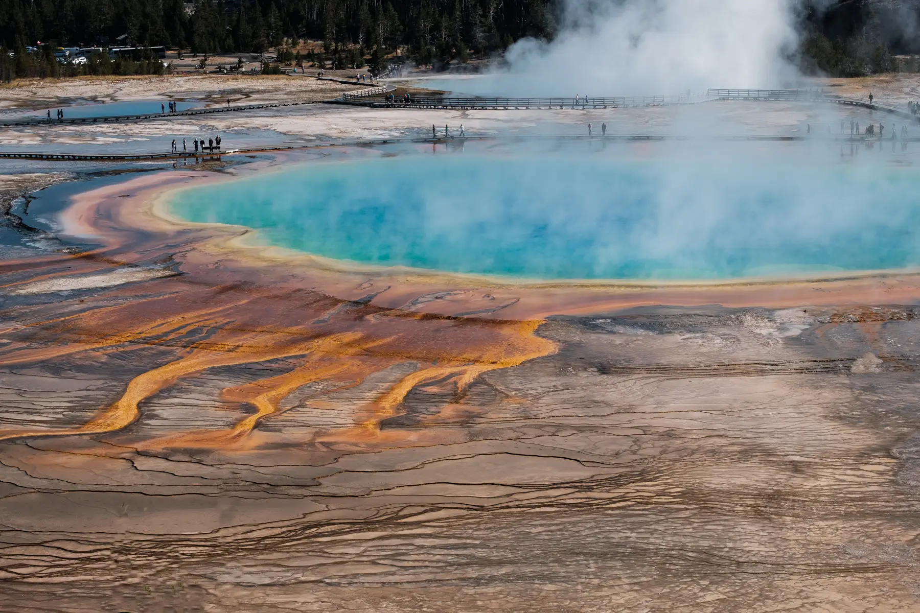 close up of Grand Prismatic hot spring in Yellowstone National Park