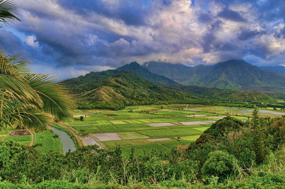 View of Hanalei River Valley on Kauai with lush green fields, winding river, and surrounding mountains under a cloudy sky.