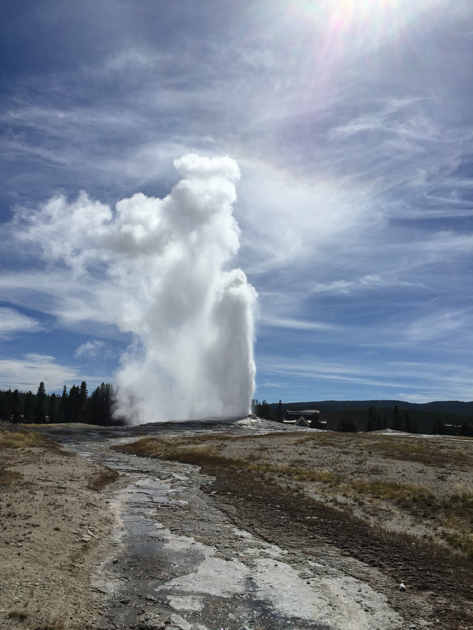 Eruption of Giant Geyser in Yellowstone National Park, captured from a distance.