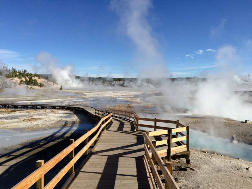 Steam vents releasing thick vapor into the air in Yellowstone National Park’s geothermal landscape.