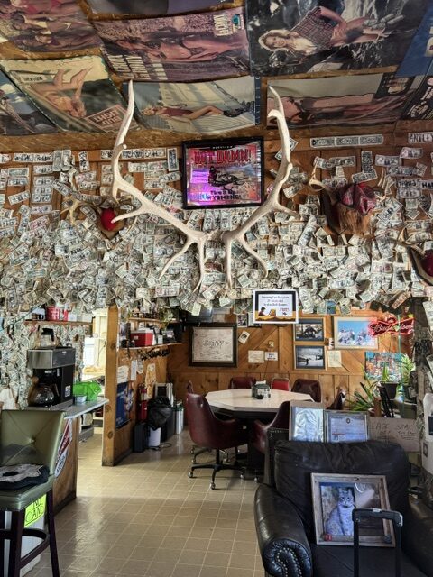 Interior of Buckhorn Bar and Grill in Buckhorn, Wyoming, showing walls covered in signed dollar bills and mounted antlers