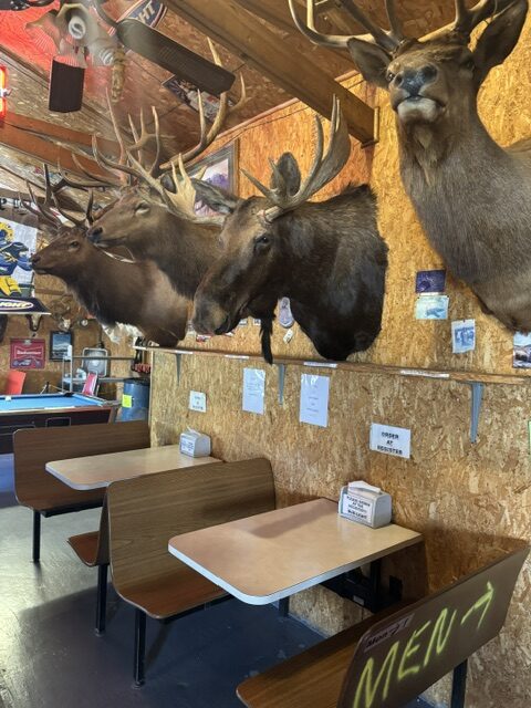 Interior of Buckhorn Bar and Grill in Buckhorn, Wyoming, featuring wall-mounted taxidermy including elk, deer, and bear