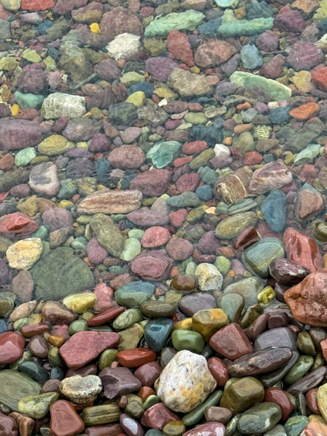 Vibrant multicolored rocks visible through the crystal-clear water of Lake McDonald in Glacier National Park