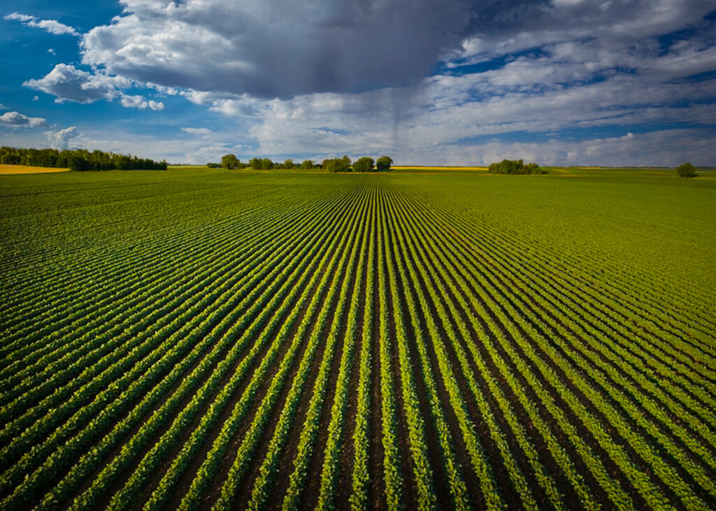 Expansive farm fields in Iowa under stormy skies.