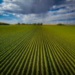 Expansive farm fields in Iowa under stormy skies. regional back roads and byways
