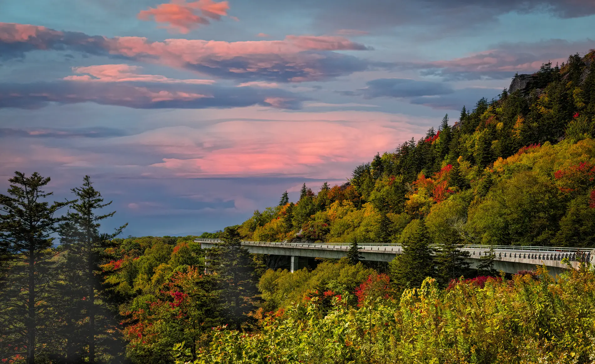 view of Linn Cove viaduct on the Blue Ridge Parkway with fall colored trees and a pink sunset