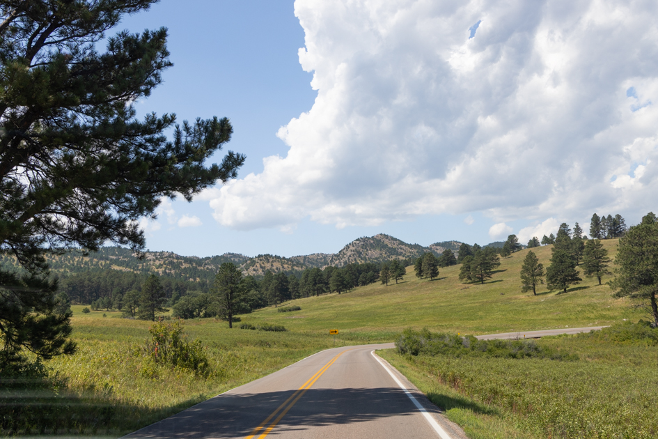 Wildlife Loop Road winding through autumn-colored trees and open grasslands in Custer State Park, South Dakota