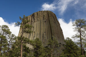 Detailed close-up of Devil’s Tower’s vertical rock columns showing natural textures and geologic formations