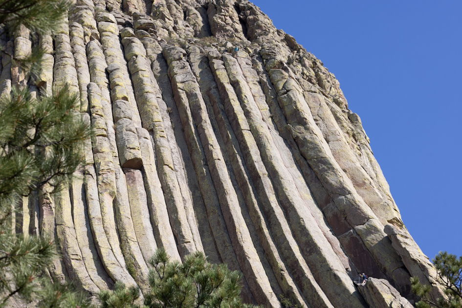 Rock climbers scaling the vertical columns of Devil’s Tower in Wyoming, showcasing outdoor adventure and climbing skill
