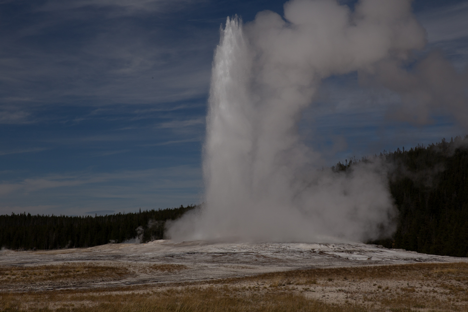 Old Faithful geyser erupting in Yellowstone National Park under a clear sky.