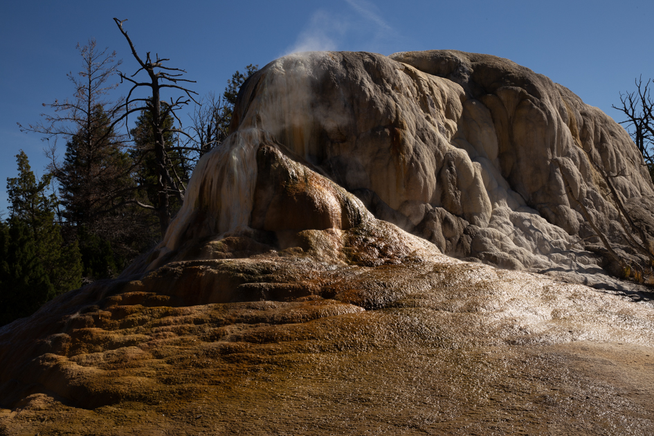 Terraced travertine formations at Mammoth Hot Springs in Yellowstone National Park with mineral-rich water flowing.