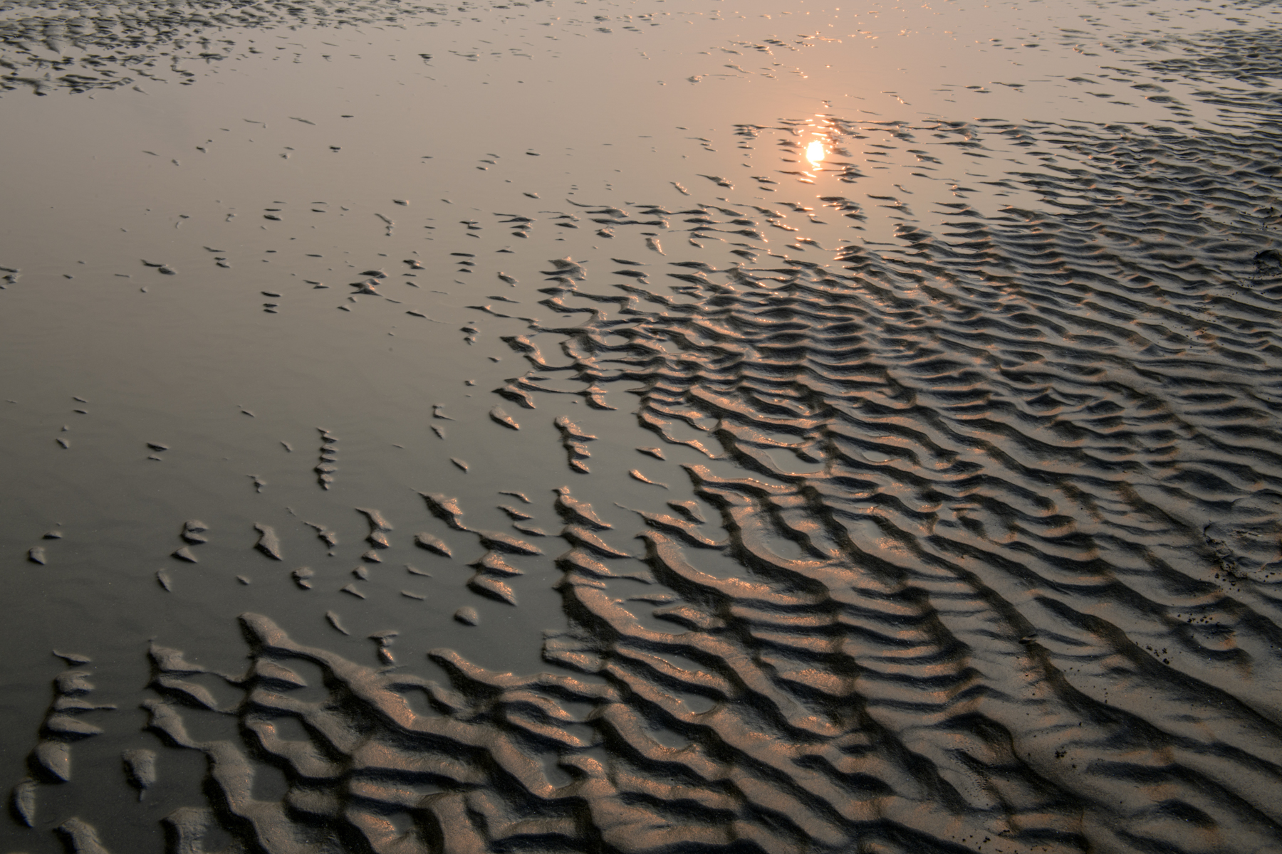 Sun reflected in ocean ripples and a tidal pool at North Myrtle Beach during low tide.
