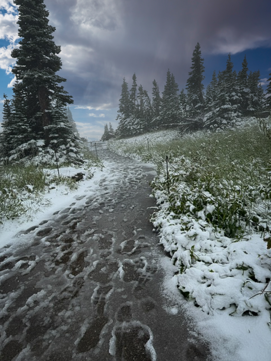 Snow-covered path with footprints at Logan Pass in Glacier National Park, taken on August 28, 2024.