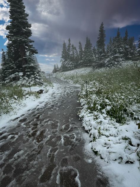 Patches of summer snow at the summit of Logan Pass in Glacier National Park under clear skies
