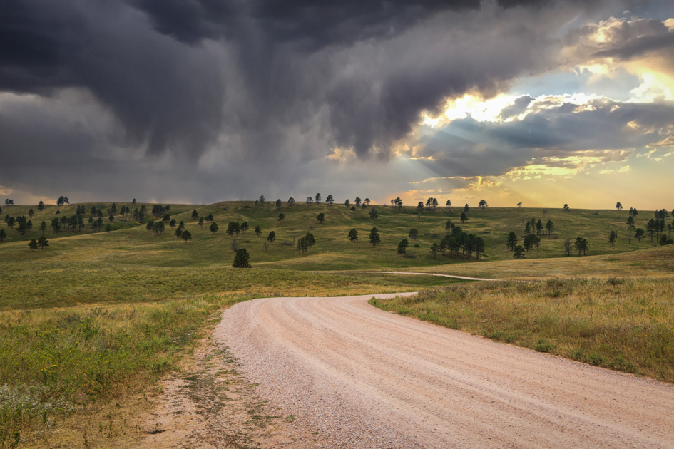 Scenic view of the winding Wildlife Loop Road surrounded by open plains and rolling hills in Custer State Park, South Dakota