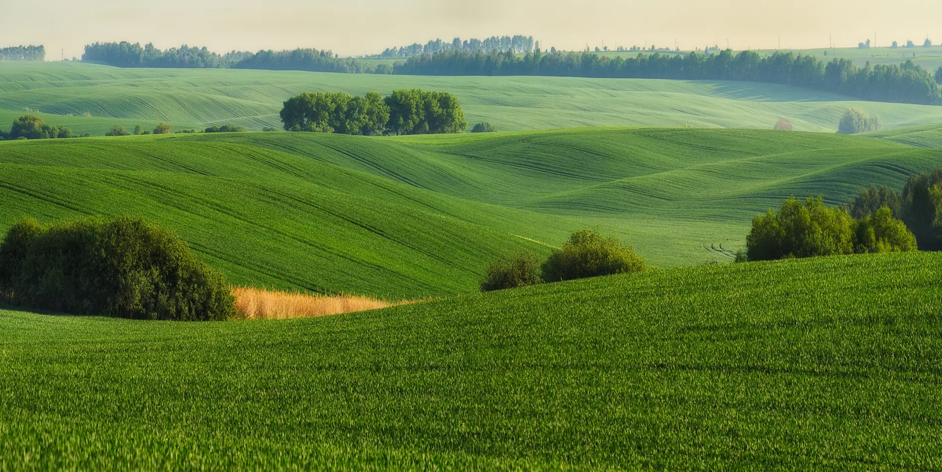 rolling hills with fields of green in upstate New York