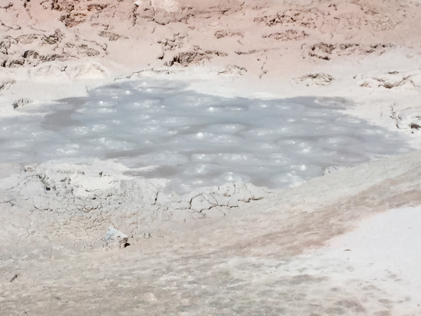 Bubbling mudpot at Fountain Paint Pot in Yellowstone National Park, surrounded by mineral-rich terrain.
