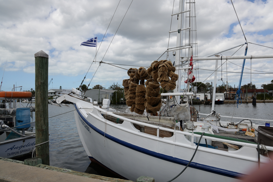 A traditional sponge boat docked in Tarpon Springs with natural sea sponges drying on the deck