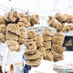 Exploring Tarpon Springs, Florida Travel Guide – A Greek Harbor Full of History, Flavor, and Photographic Charm