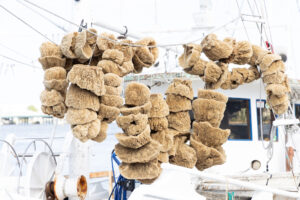 Close-up of natural sea sponges drying on the deck of a sponge boat in Tarpon Springs, Florida