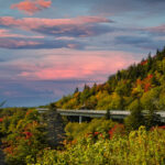 Curving Linn Cove Viaduct hugging the side of Grandfather Mountain on the Blue Ridge Parkway, surrounded by forested slopes.