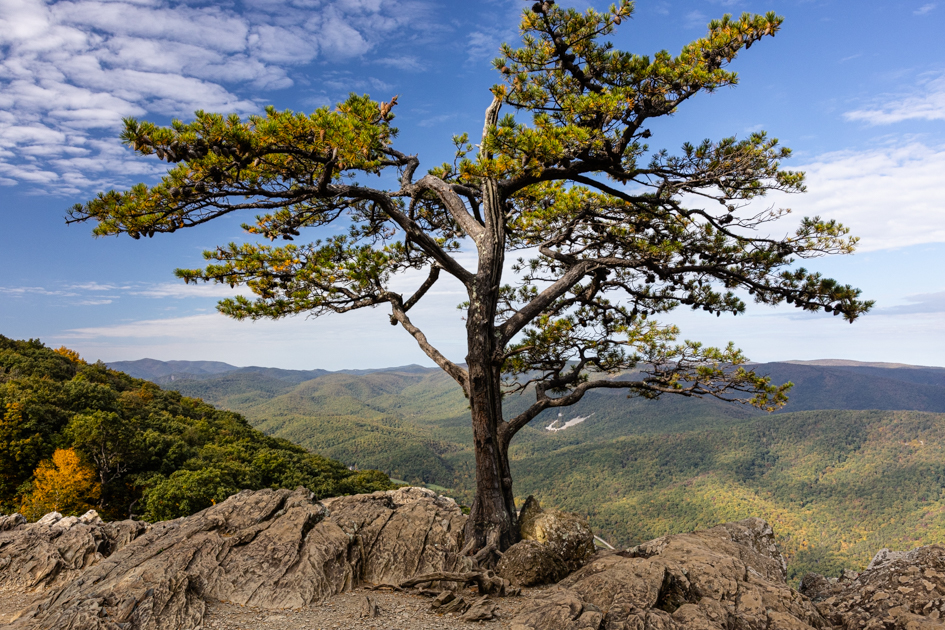 Mountain ridges fading into the distance at Raised Roost Overlook on the Blue Ridge Parkway.
