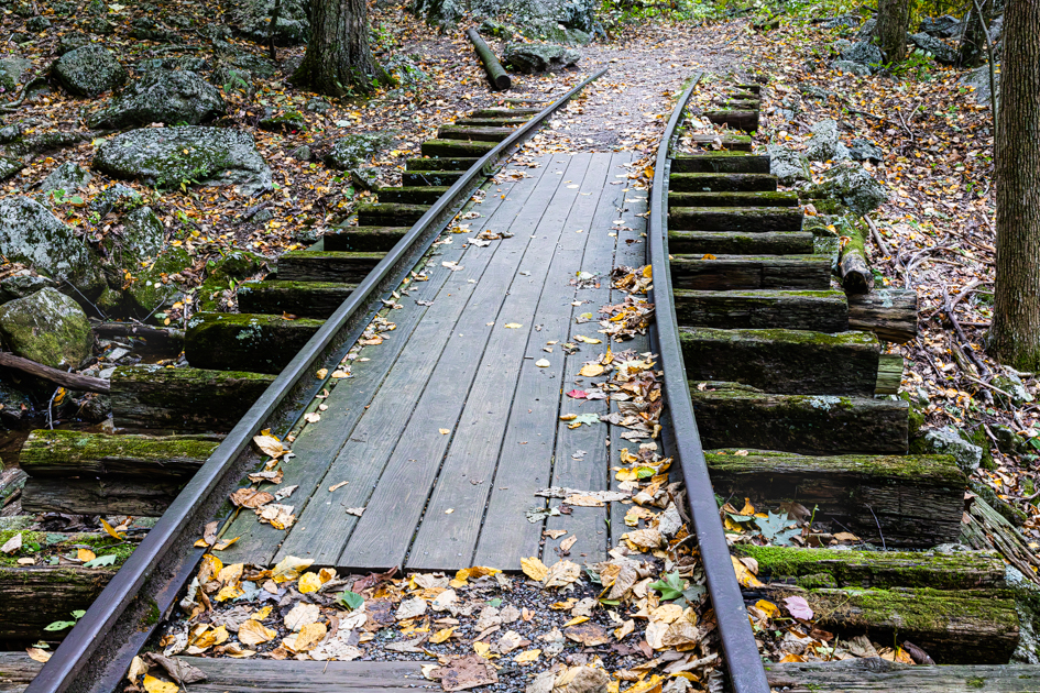 Remnants of an old logging railroad track at Yankee Horse Ridge on the Blue Ridge Parkway, surrounded by forest.
