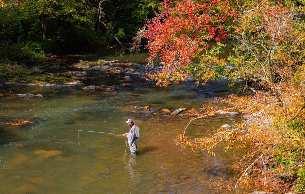 Fisherman standing in a shallow mountain river, fly fishing beneath trees along the Blue Ridge Parkway.
