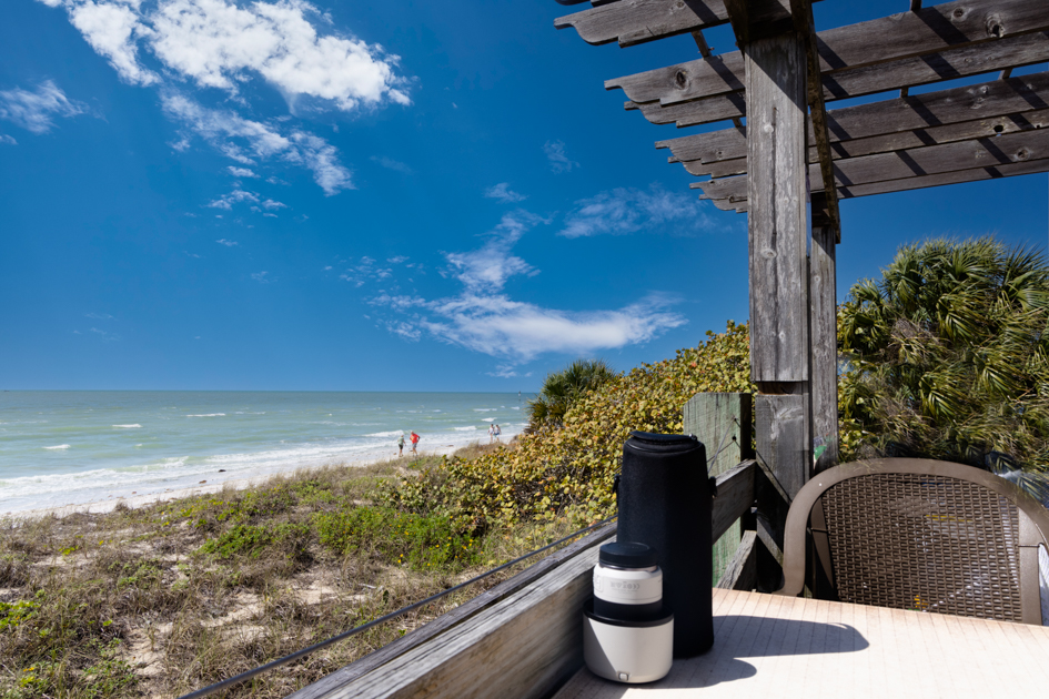 Scenic view of the beach and palm trees from the outdoor seating area of the café on Honeymoon Island, Florida
