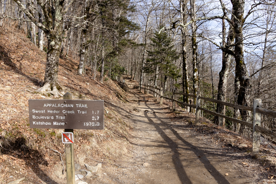 Appalachian Trail winding through the Smoky Mountains forest.