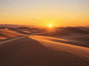 Read more about the article Scenic Drives and Road Trips Across America: Finding Beauty Between the Lines on the Map