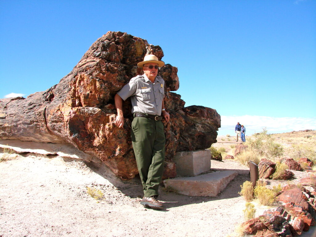 Forest Ranger standing beside a massive petrified log for scale in Petrified Forest National Park