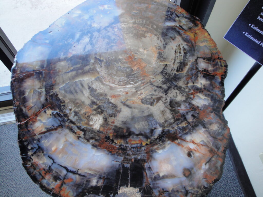 Detailed close-up of crystalized minerals in petrified wood with deep purple and quartz highlights