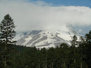Mount Hood partially hidden by clouds with forested slopes below