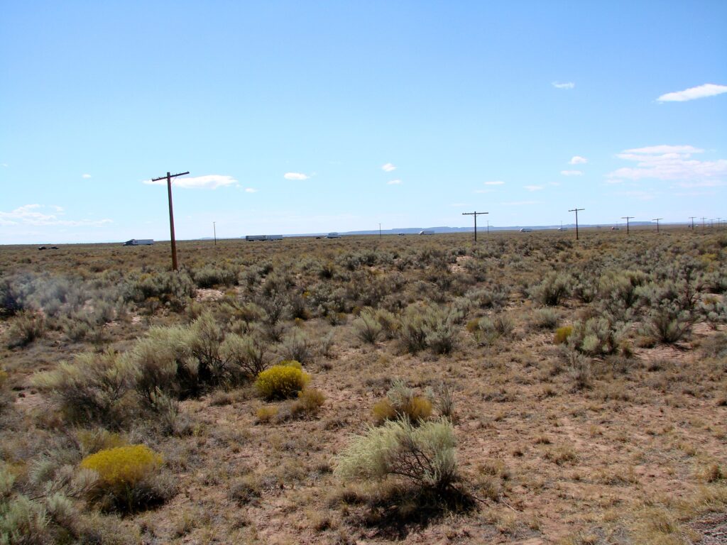 Weathered telephone poles marking the historic Route 66 alignment in Petrified Forest National Park