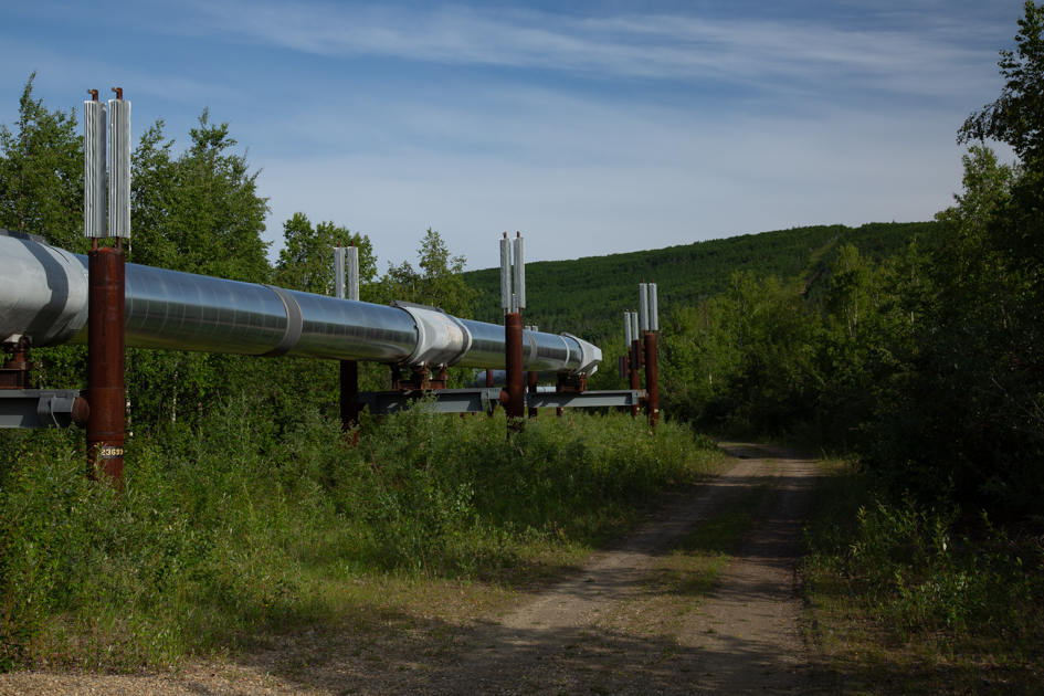 Trans-Alaska Pipeline near Fairbanks, Alaska, stretching above the tundra with mountains and spruce trees in the distance.

