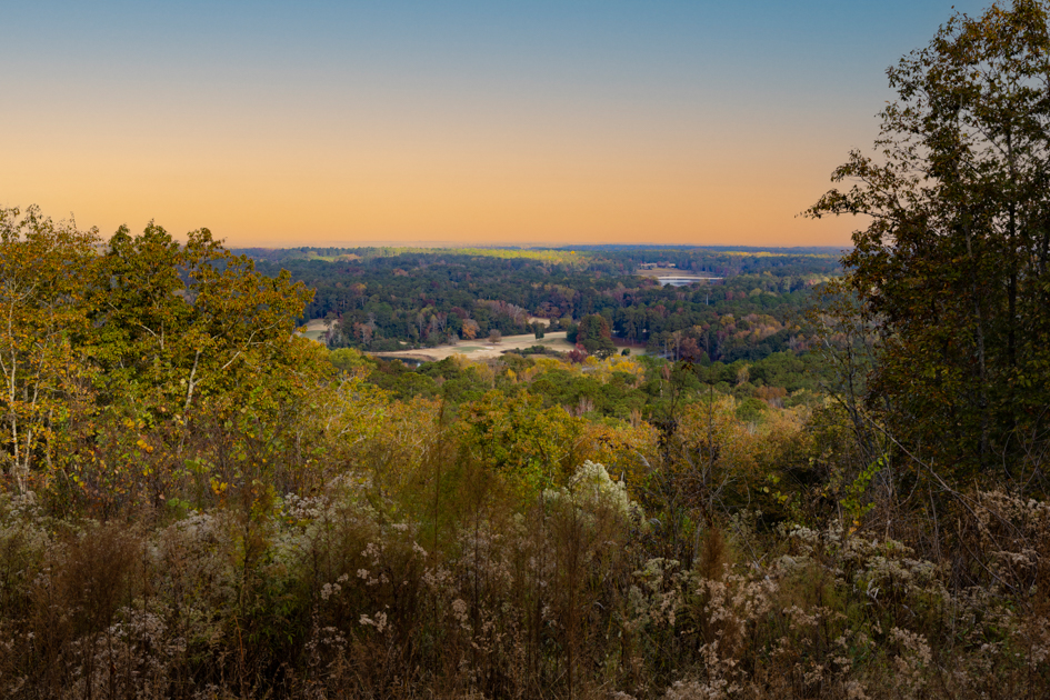 View from an overlook at F.D. Roosevelt State Park in Georgia, showing rolling hills and pine forests under golden afternoon light.