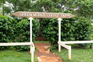 Sign for Green World Coffee Farm along the roadside on Oahu, Hawaii