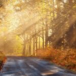 Mastering Light in Landscape Photography