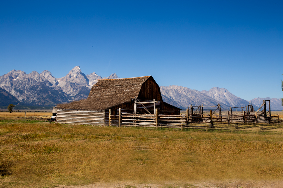 John Moulton Barn in warm afternoon light with long shadows stretching across the sagebrush plain, Grand Teton National Park