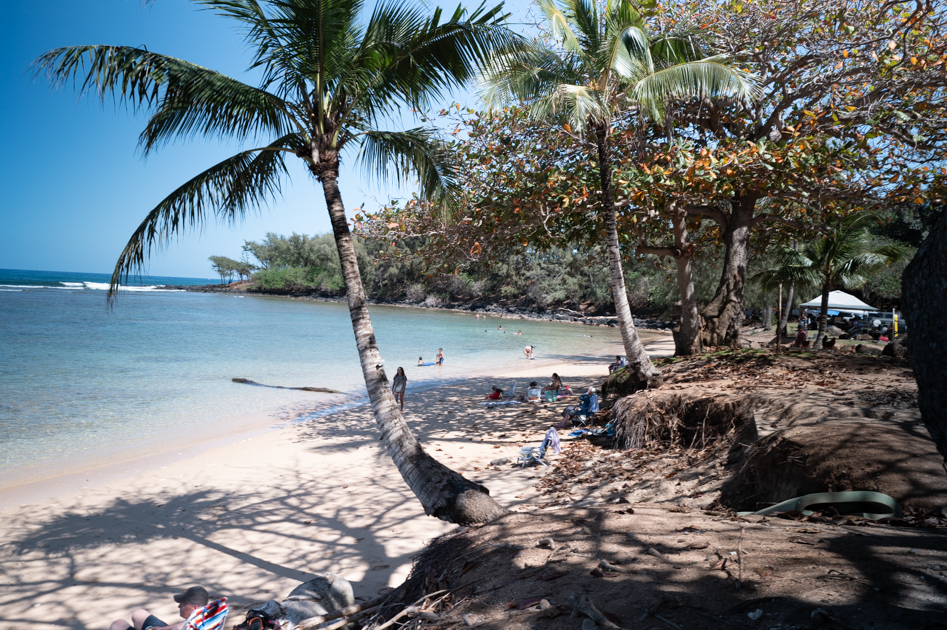 Anahole Beach in Kauai with palm trees, ocean and sand