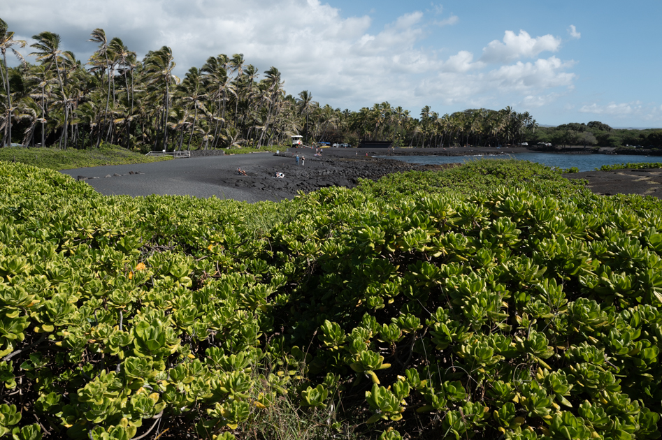 Waves breaking along the black volcanic sand of Punaluʻu Beach on Hawaii’s Big Island