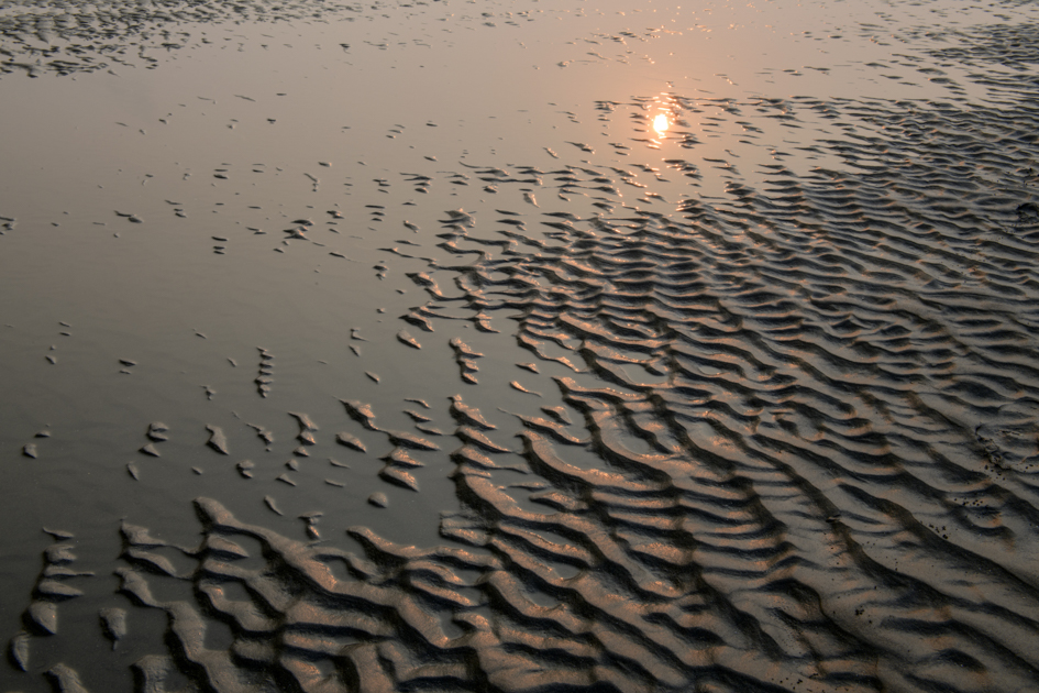 waves and ripples