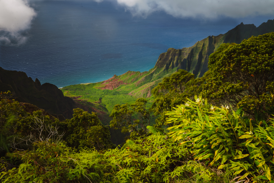 View from Puʻu o Kila Lookout on Kauai showing mist rolling over the Kalalau Valley and rugged green ridges descending toward the Pacific Ocean.