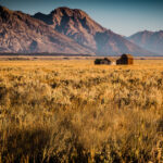 Mastering The Art of Mindful Photography