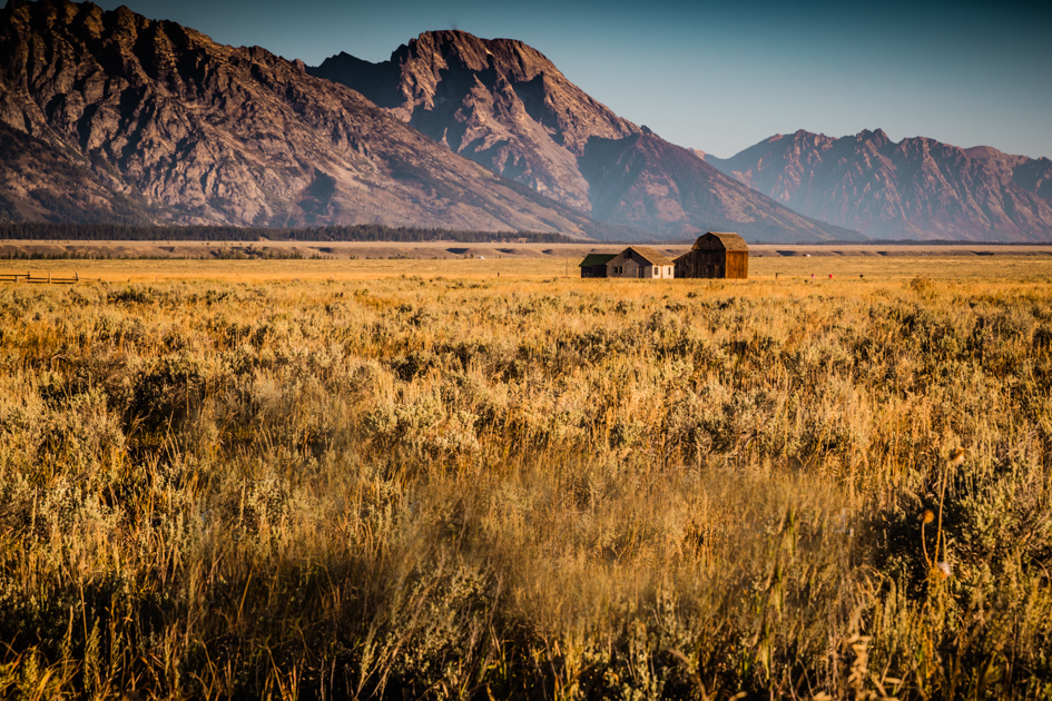 The historic Thomas Murphy Homestead on Mormon Row with weathered wooden buildings and the Teton Range in the background, Grand Teton National Park